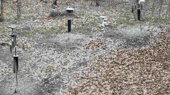Weather camera view of Cincinnati Nature Center.