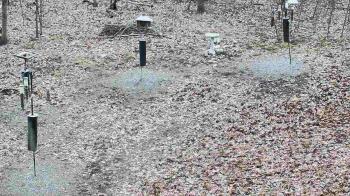 Weather camera view of Cincinnati Nature Center.