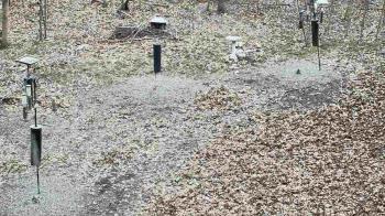 Weather camera view of Cincinnati Nature Center.