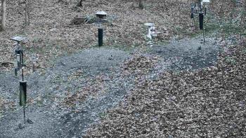 Weather camera view of Cincinnati Nature Center.