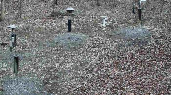 Weather camera view of Cincinnati Nature Center.