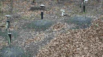 Weather camera view of Cincinnati Nature Center.