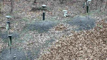 Weather camera view of Cincinnati Nature Center.