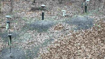 Weather camera view of Cincinnati Nature Center.