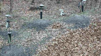 Weather camera view of Cincinnati Nature Center.