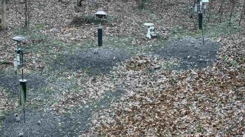 Weather camera view of Cincinnati Nature Center.