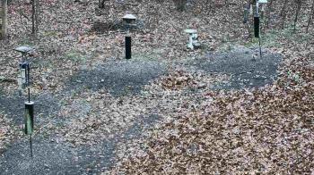 Weather camera view of Cincinnati Nature Center.
