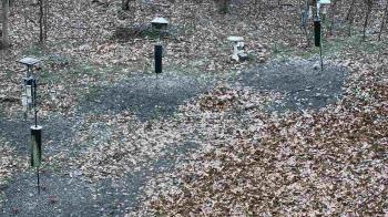 Weather camera view of Cincinnati Nature Center.