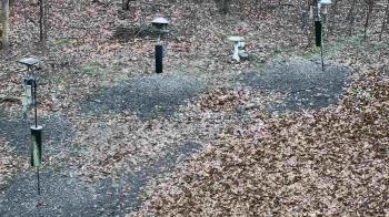 Weather camera view of Cincinnati Nature Center.