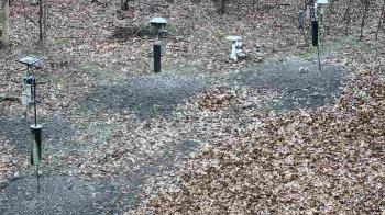 Weather camera view of Cincinnati Nature Center.