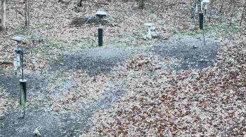 Weather camera view of Cincinnati Nature Center.