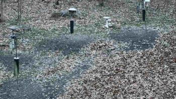 Weather camera view of Cincinnati Nature Center.