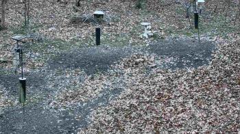 Weather camera view of Cincinnati Nature Center.