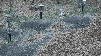 Weather camera view of Cincinnati Nature Center.