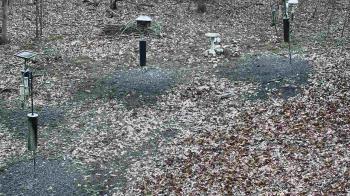 Weather camera view of Cincinnati Nature Center.