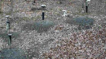 Weather camera view of Cincinnati Nature Center.