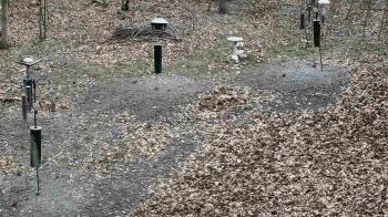 Weather camera view of Cincinnati Nature Center.