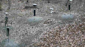Weather camera view of Cincinnati Nature Center.