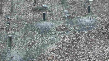 Weather camera view of Cincinnati Nature Center.