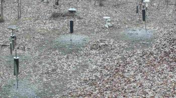 Weather camera view of Cincinnati Nature Center.