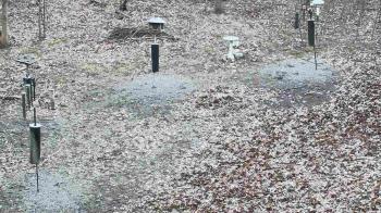 Weather camera view of Cincinnati Nature Center.