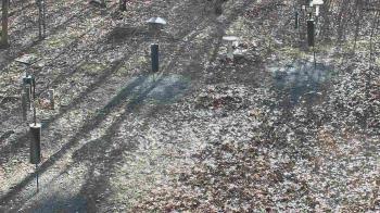 Weather camera view of Cincinnati Nature Center.