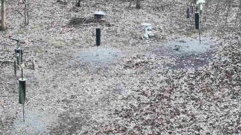 Weather camera view of Cincinnati Nature Center.