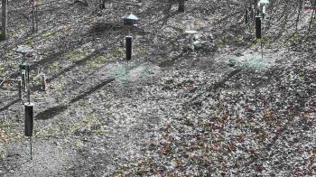 Weather camera view of Cincinnati Nature Center.