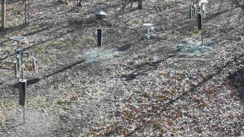 Weather camera view of Cincinnati Nature Center.