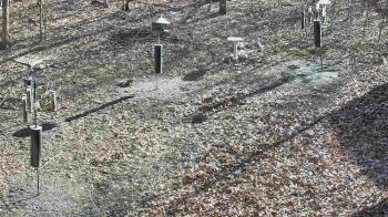 Weather camera view of Cincinnati Nature Center.