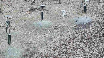 Weather camera view of Cincinnati Nature Center.