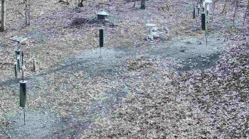 Weather camera view of Cincinnati Nature Center.