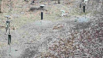 Weather camera view of Cincinnati Nature Center.