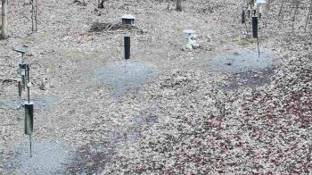 Weather camera view of Cincinnati Nature Center.