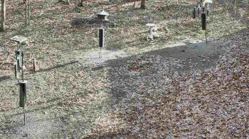 Weather camera view of Cincinnati Nature Center.