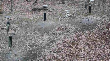 Weather camera view of Cincinnati Nature Center.