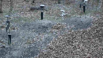 Weather camera view of Cincinnati Nature Center.