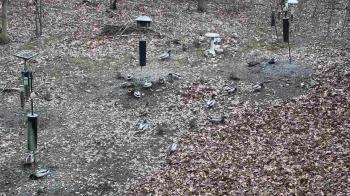 Weather camera view of Cincinnati Nature Center.