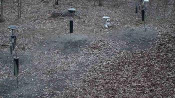 Weather camera view of Cincinnati Nature Center.