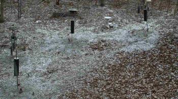 Weather camera view of Cincinnati Nature Center.