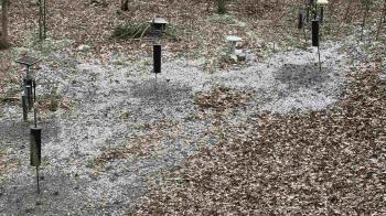 Weather camera view of Cincinnati Nature Center.