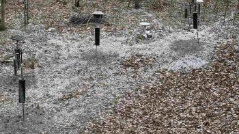 Weather camera view of Cincinnati Nature Center.