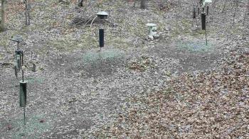 Weather camera view of Cincinnati Nature Center.