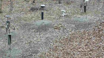 Weather camera view of Cincinnati Nature Center.