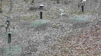 Weather camera view of Cincinnati Nature Center.