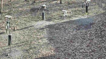 Weather camera view of Cincinnati Nature Center.