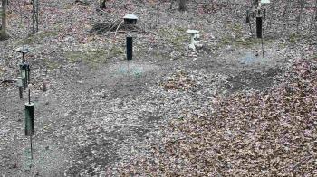 Weather camera view of Cincinnati Nature Center.