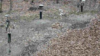 Weather camera view of Cincinnati Nature Center.