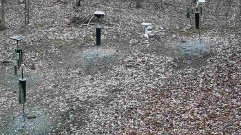 Weather camera view of Cincinnati Nature Center.
