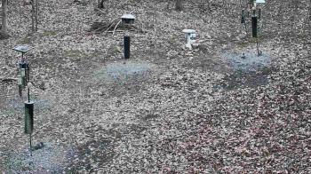 Weather camera view of Cincinnati Nature Center.